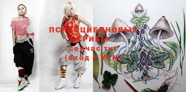 шишки Алексеевка