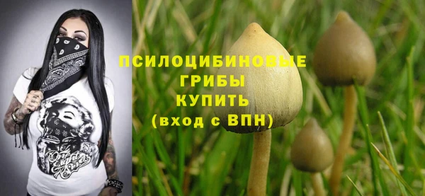 шишки Алексеевка